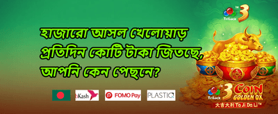 স্লট গেম ফ্রি স্পিন promotion banner